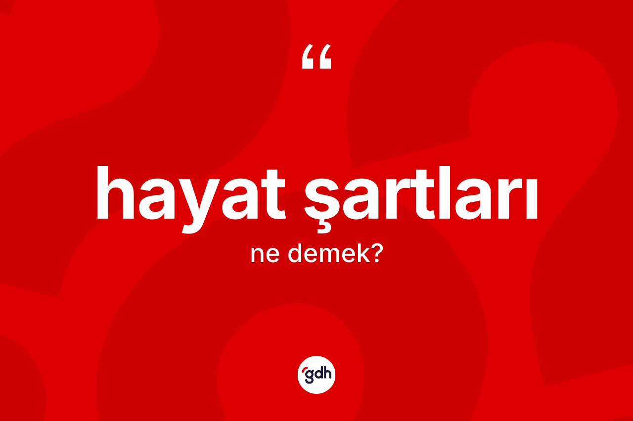 Hayat şartları ne demek? Hayat şartlarının TDK'ya göre anlamı nedir?