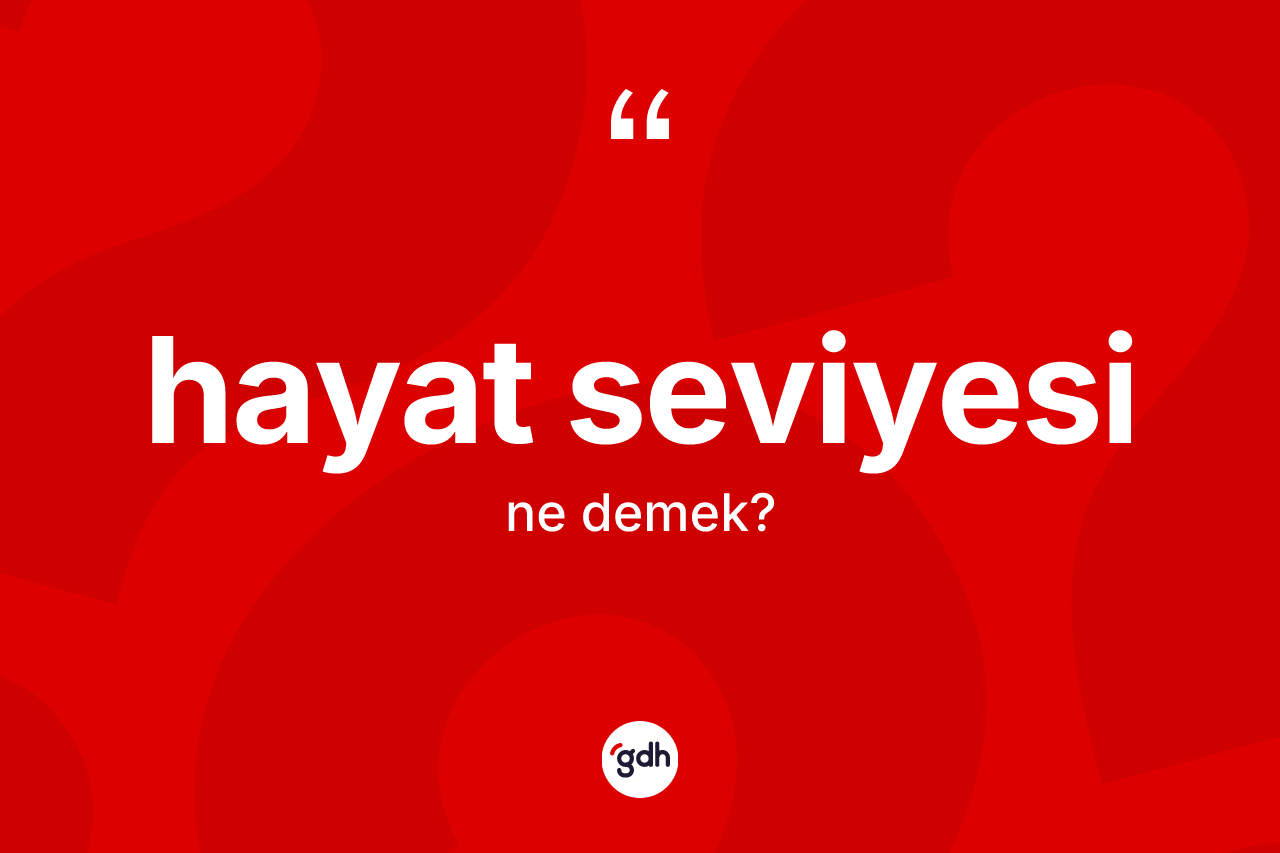 Hayat seviyesi kelimesinin tanımı nedir? Hayat seviyesinin halk arasındaki kullanımı nasıldır?