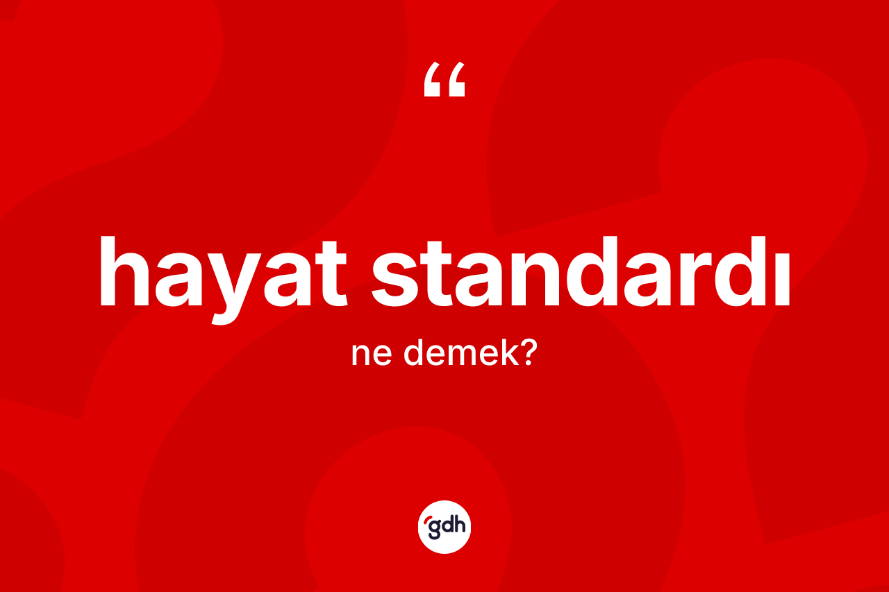 Hayat standardı nedir? Hayat standardı kelimesinin TDK anlamı nedir?