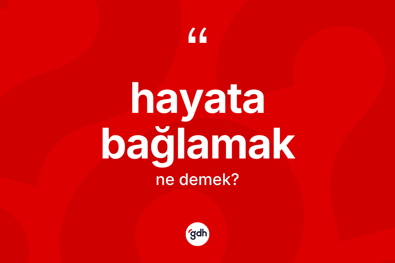 Hayata bağlamak sözü ne anlama gelir? Hayata bağlamak sözünün TDK açıklaması nedir?