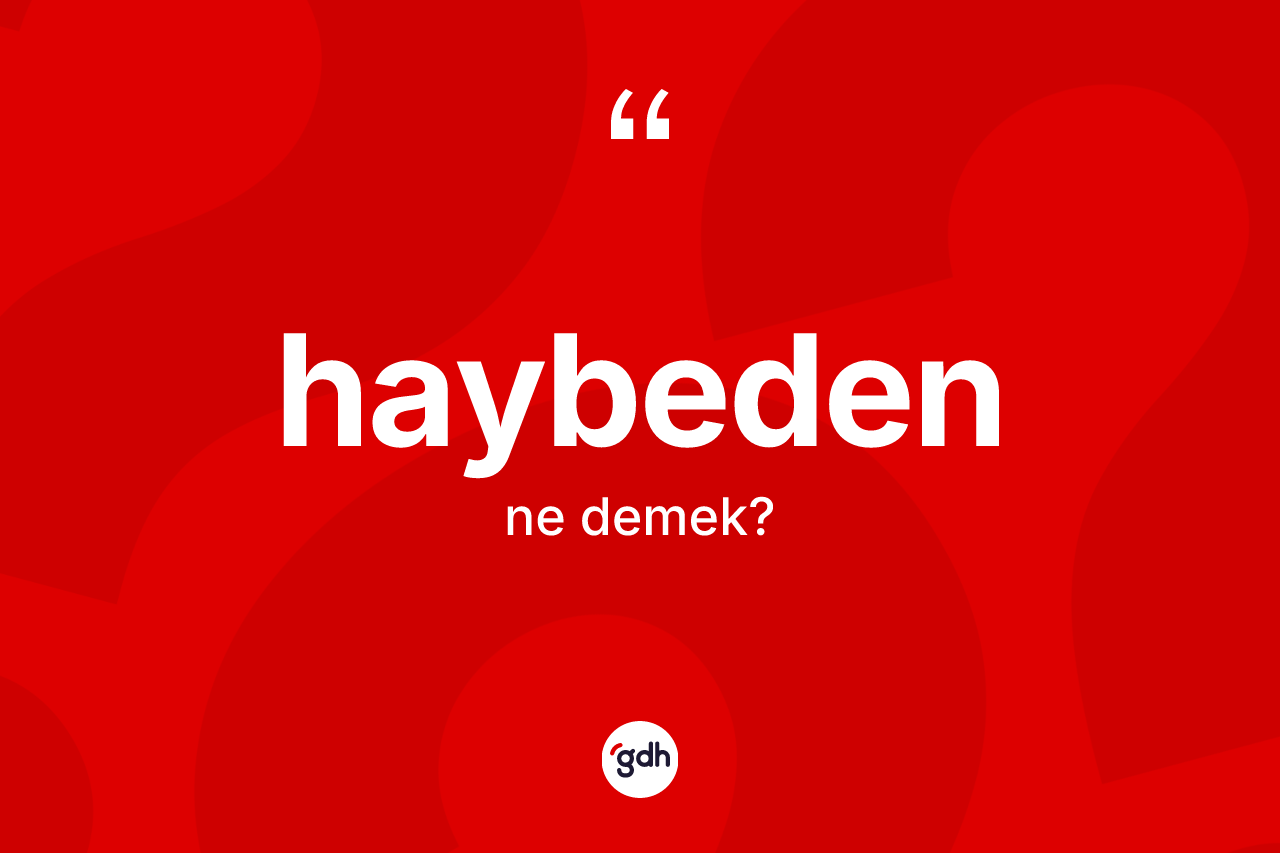 Haybeden kelimesinin anlamı nedir? Haybedenin TDK'ya göre anlamı nedir?