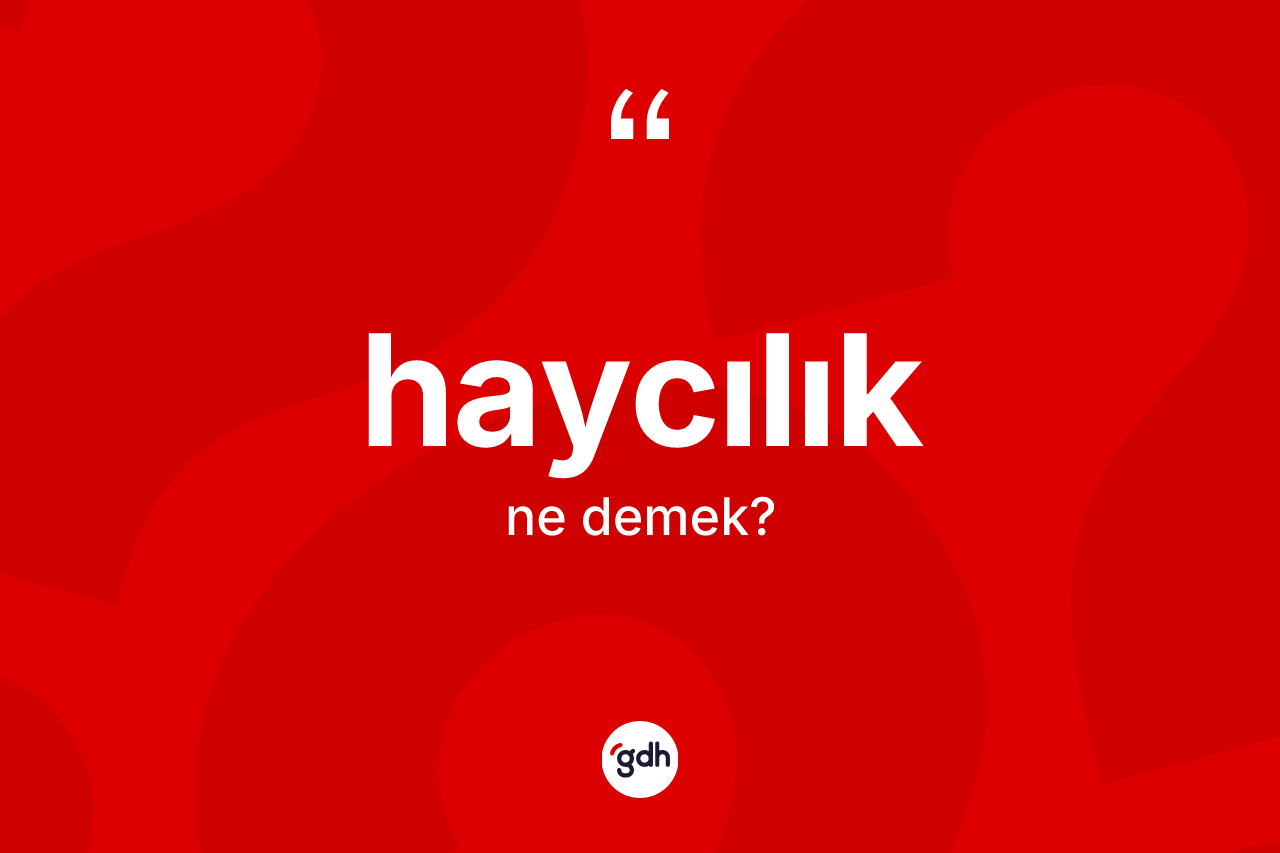 Haycılık nedir? Haycılığın TDK'ya göre anlamı nedir?