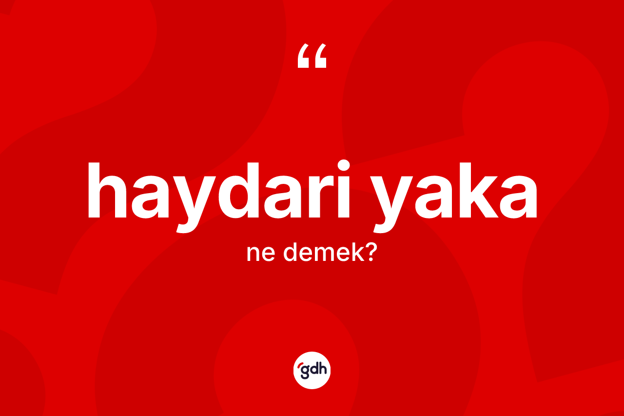 Haydari yaka nedir? Haydari yaka kelimesinin TDK anlamı nedir?