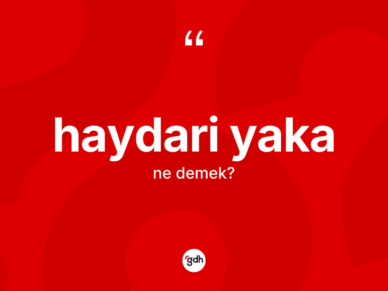 Haydari yaka nedir? Haydari yaka kelimesinin TDK anlamı nedir?