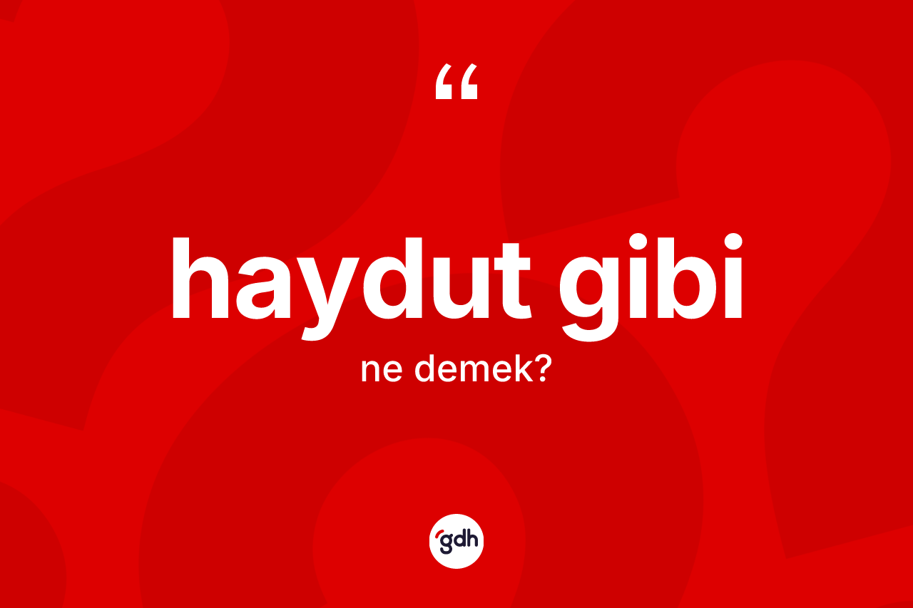 Haydut gibi ifadesi ne demek? Haydut gibi ifadesi nerede kullanılır?