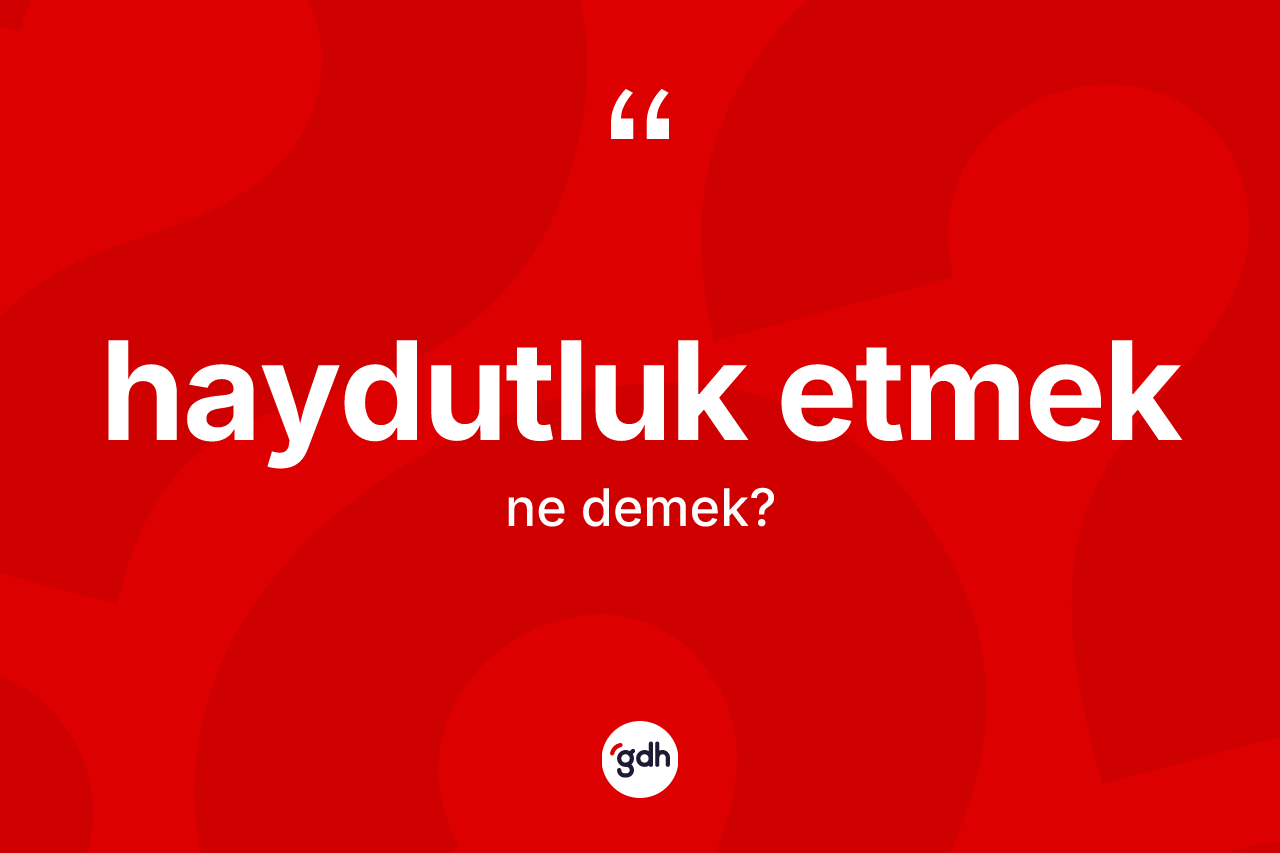 Haydutluk etmek ifadesi neyi anlatır? Haydutluk etmek ifadesinin kaç farklı anlamı var?
