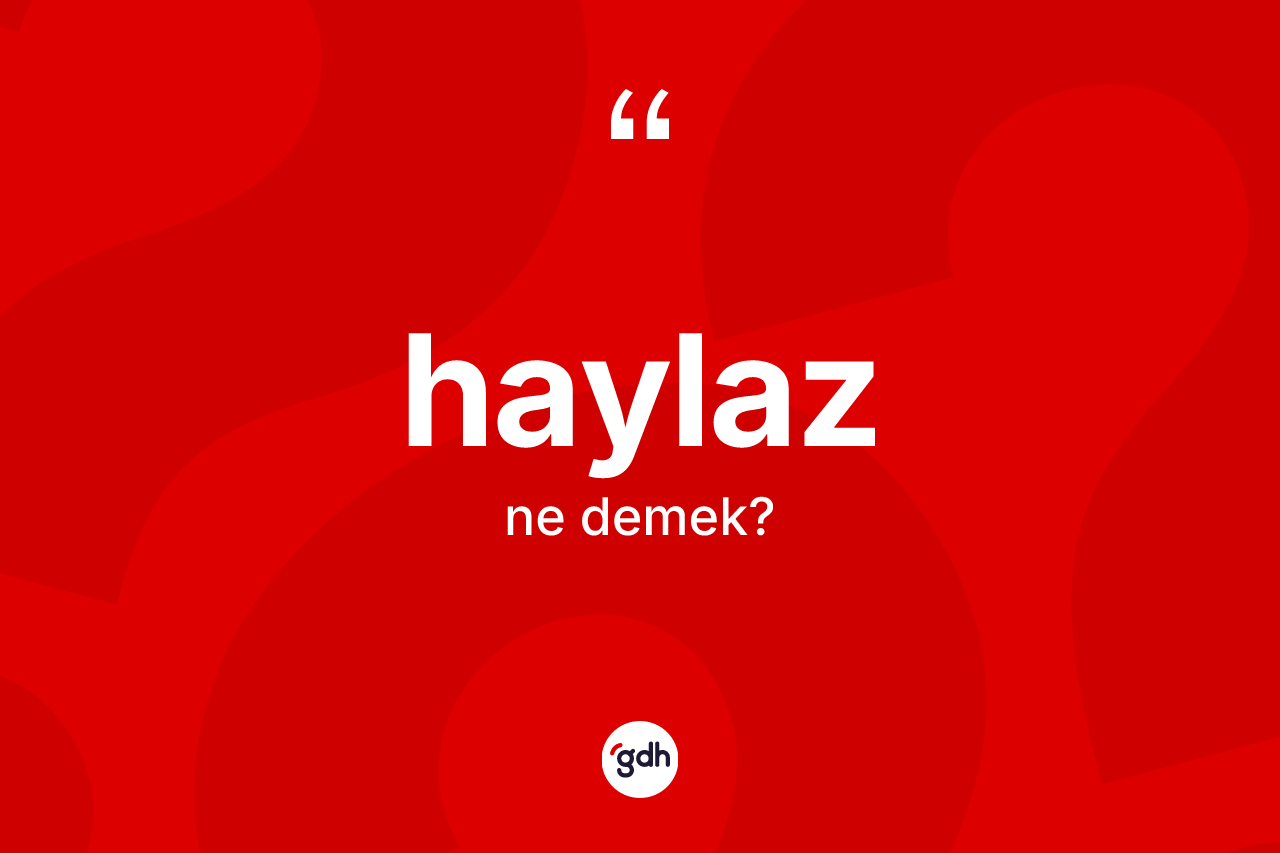 Haylaz ne anlama gelir? Haylazın TDK'ya göre anlamı nedir?