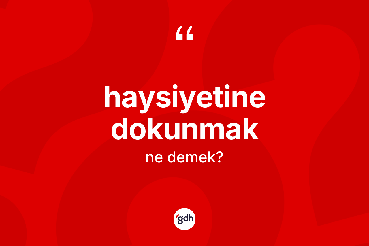 Haysiyetine dokunmak ifadesinin tanımı nedir? Haysiyetine dokunmak ifadesi nerede kullanılır?
