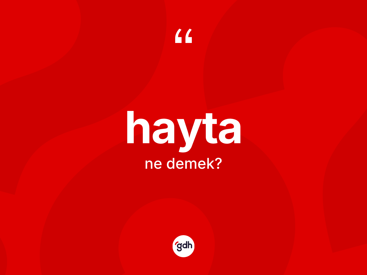 Hayta ne demek? Haytanın TDK'ya göre anlamı nedir?