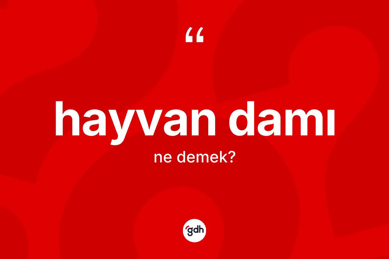 Hayvan damı kelimesinin tanımı nedir? Hayvan damının TDK'ya göre anlamı nedir?