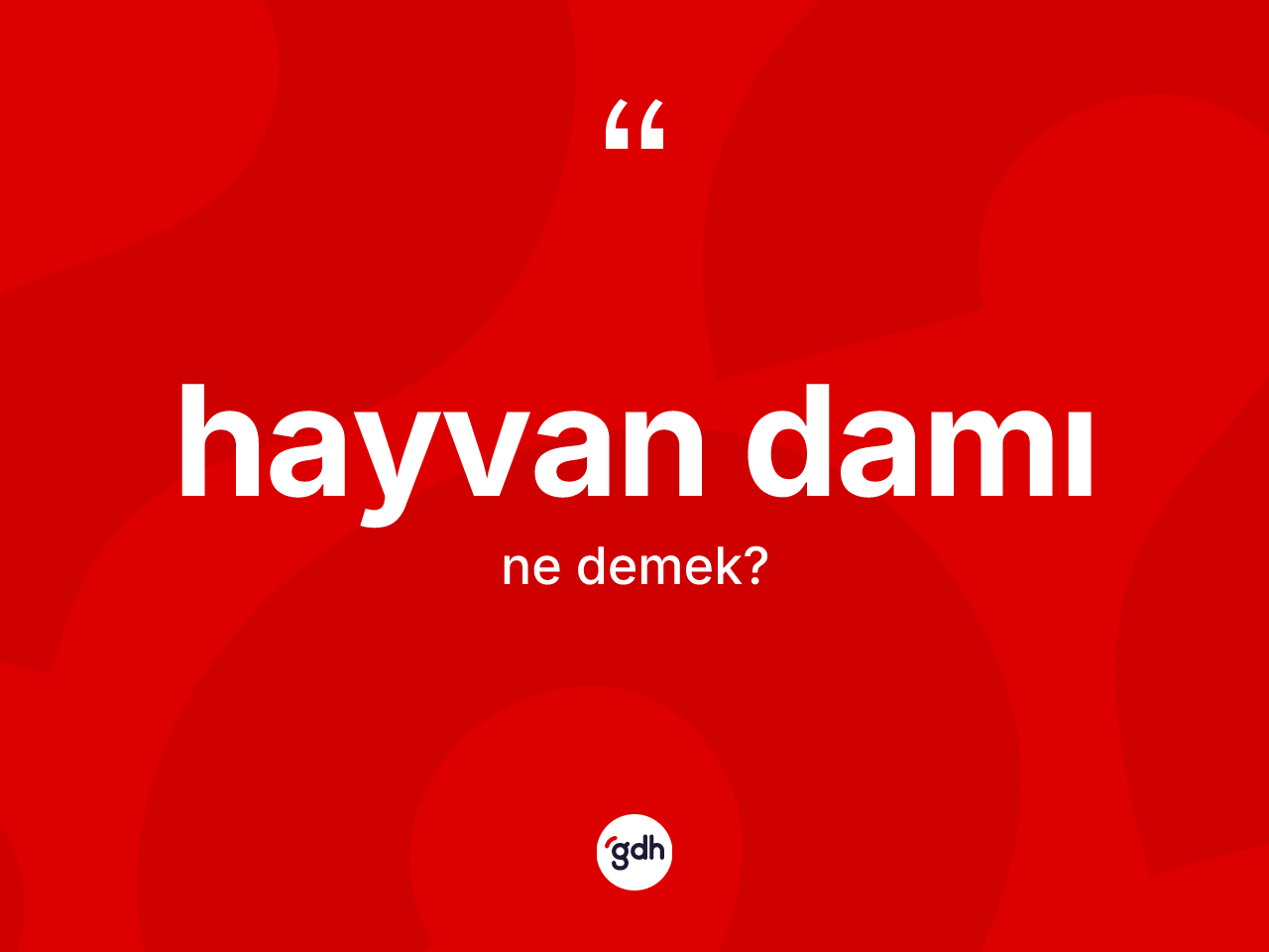 Hayvan damı kelimesinin tanımı nedir? Hayvan damının TDK'ya göre anlamı nedir?
