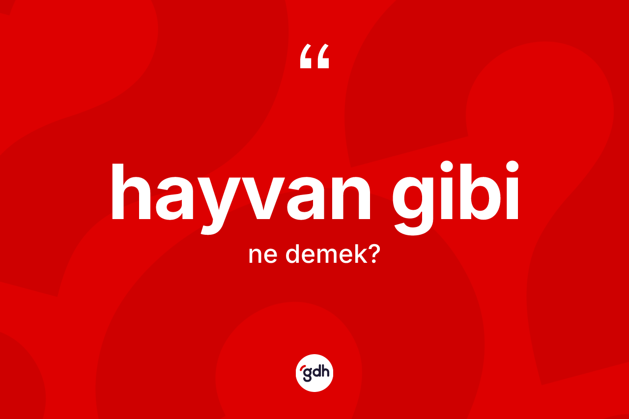 Hayvan gibi ifadesi ne demek?