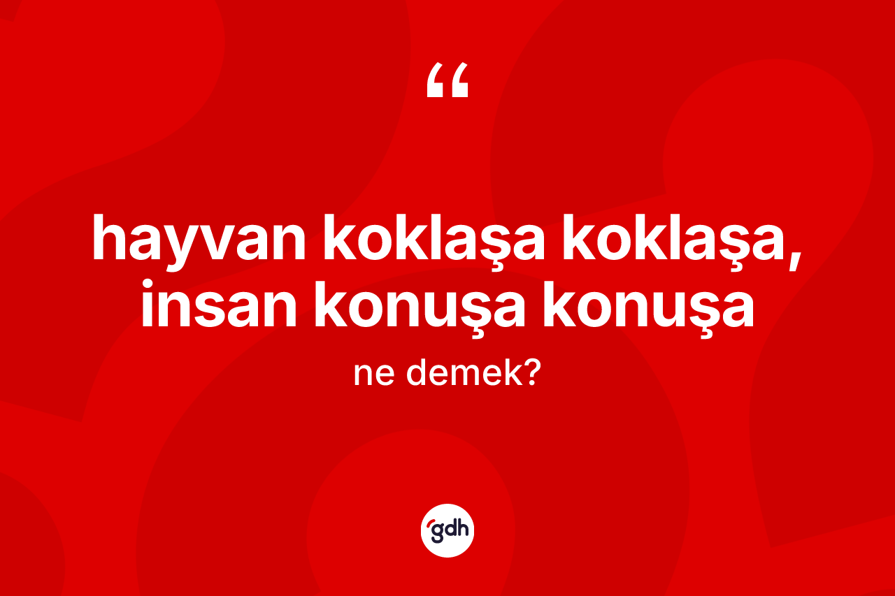 Hayvan koklaşa koklaşa, insan konuşa konuşa ifadesinin anlamı nedir?