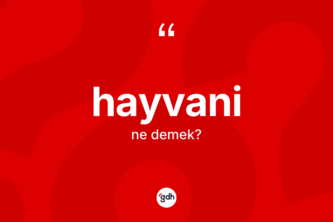 Hayvani kelimesi ne demek? Hayvaninin halk arasındaki kullanımı nasıldır?
