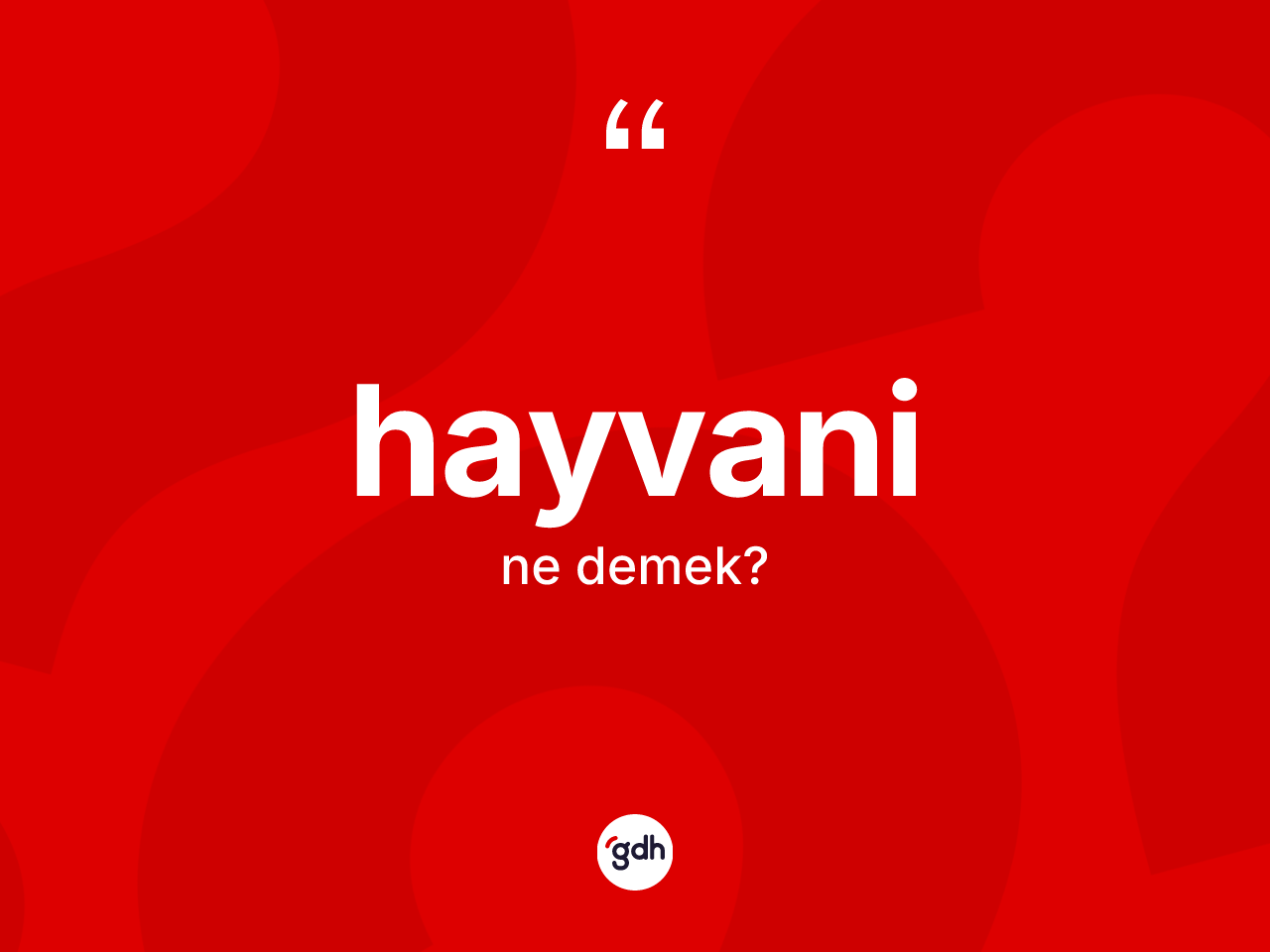 Hayvani kelimesi ne demek? Hayvaninin halk arasındaki kullanımı nasıldır?