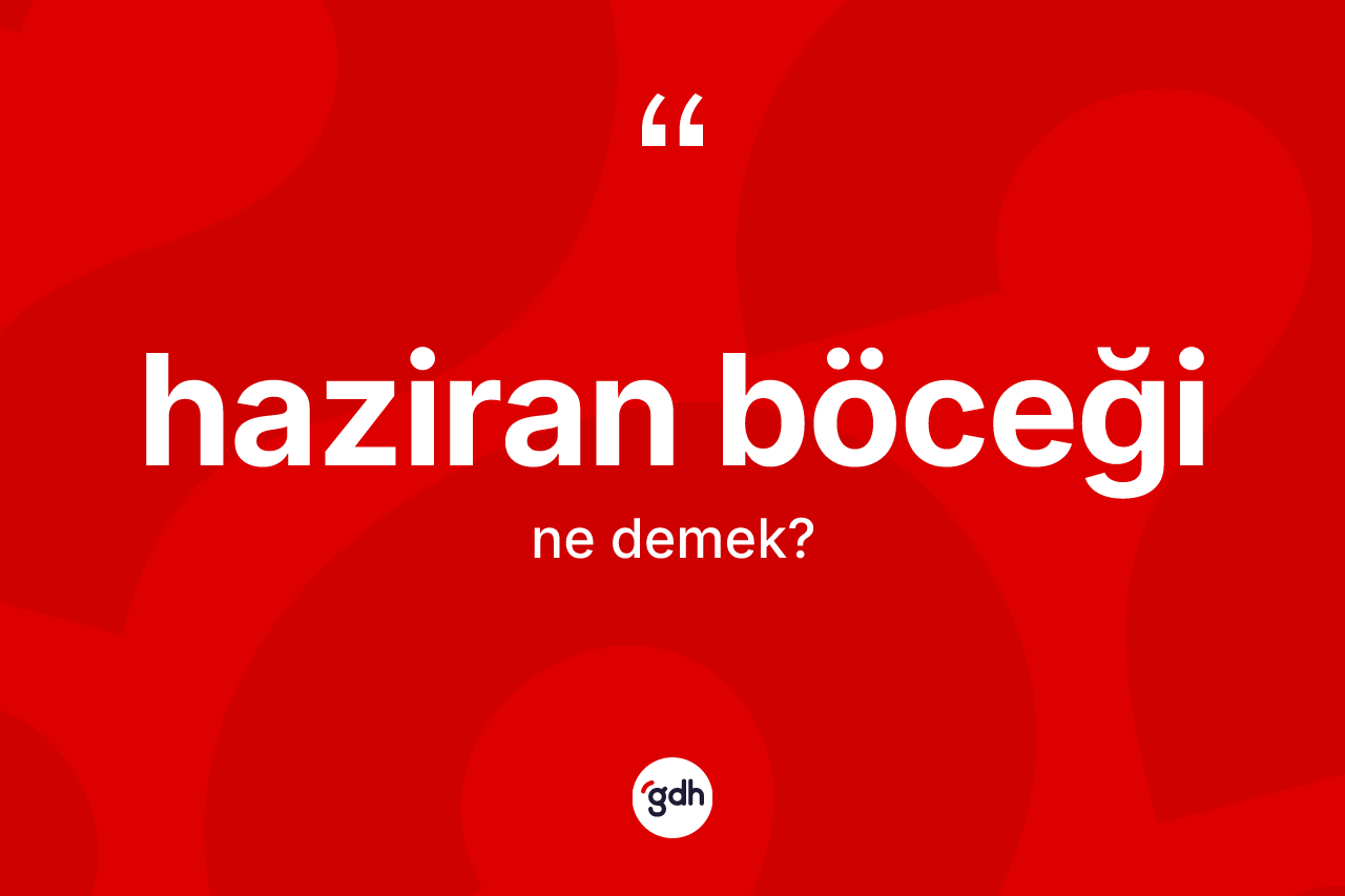 Haziran böceği kelimesinin anlamı nedir? Haziran böceği kelimesinin özellikleri nelerdir?