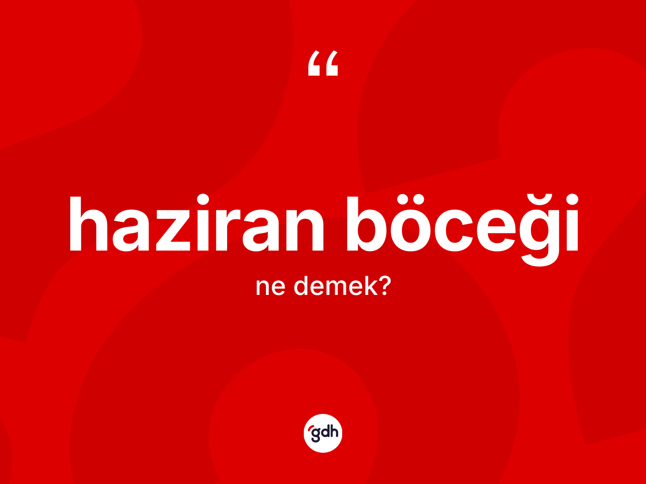 Haziran böceği kelimesinin anlamı nedir? Haziran böceği kelimesinin özellikleri nelerdir?
