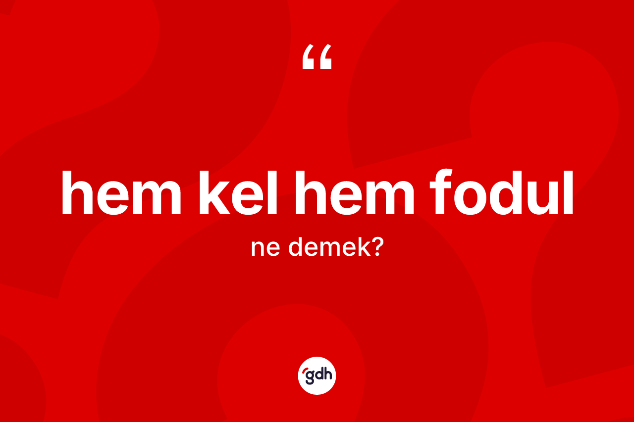 Hem kel hem fodul ifadesinin anlamı nedir? Hem kel hem fodul sözünün TDK anlamı nedir?