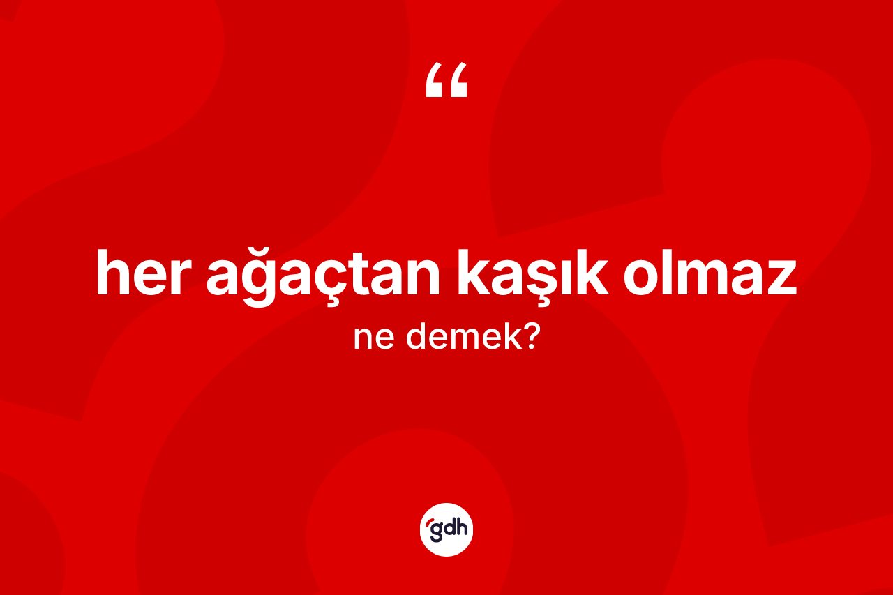 Her ağaçtan kaşık olmaz ifadesi ne anlama gelir? Her ağaçtan kaşık olmaz ifadesi hangi durumlarda kullanılır?