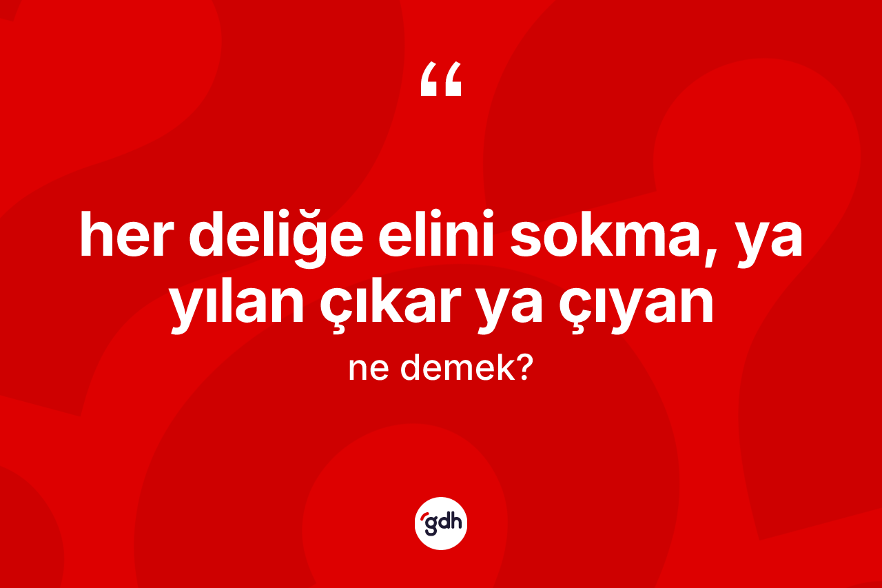 Her deliğe elini sokma, ya yılan çıkar ya çıyan ifadesi neyi anlatır? Her deliğe elini sokma, ya yılan çıkar ya çıyan sözünün sözlük anlamı nedir?