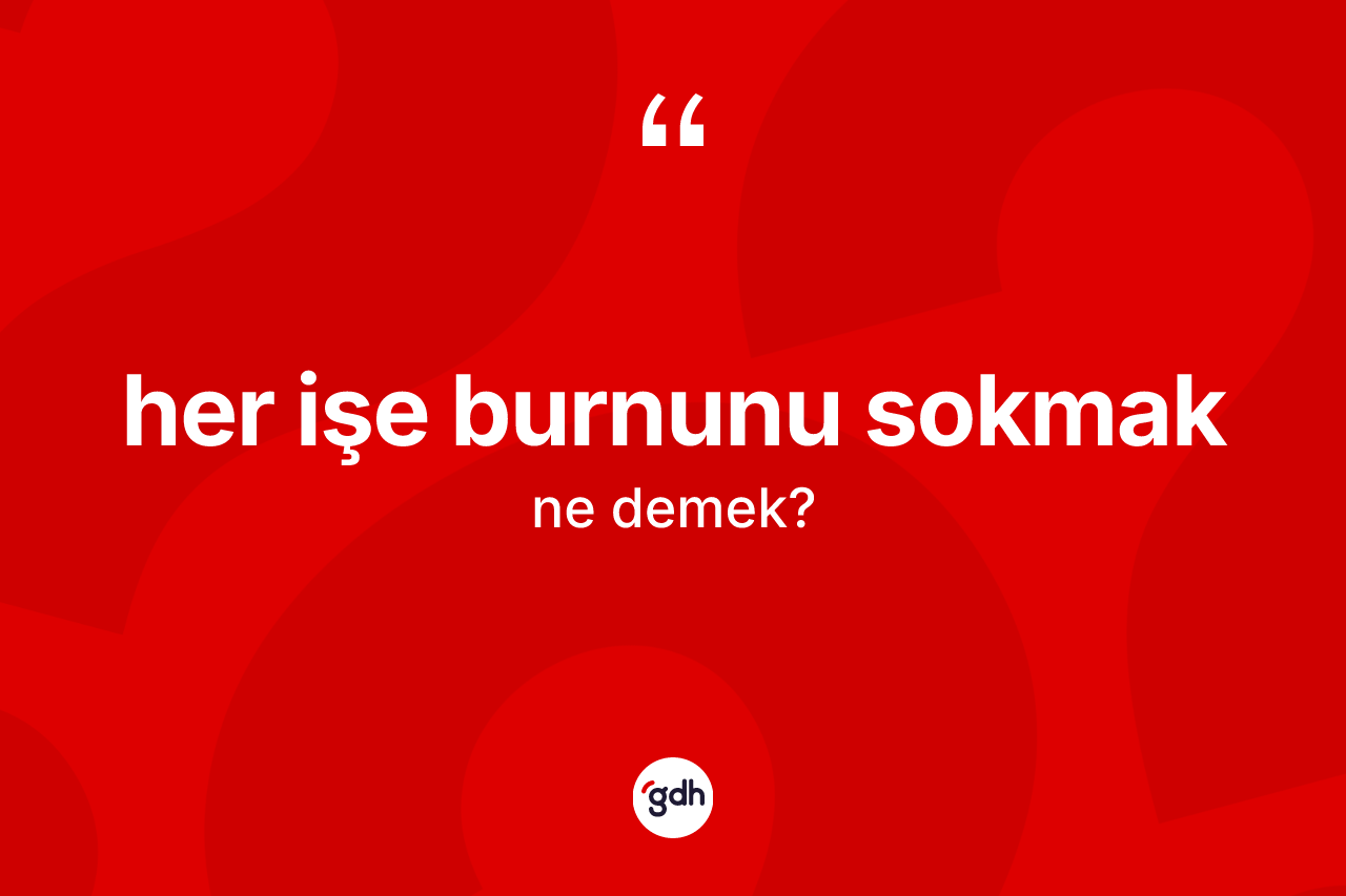Her işe burnunu sokmak ifadesinin sözlükteki anlamı nedir?