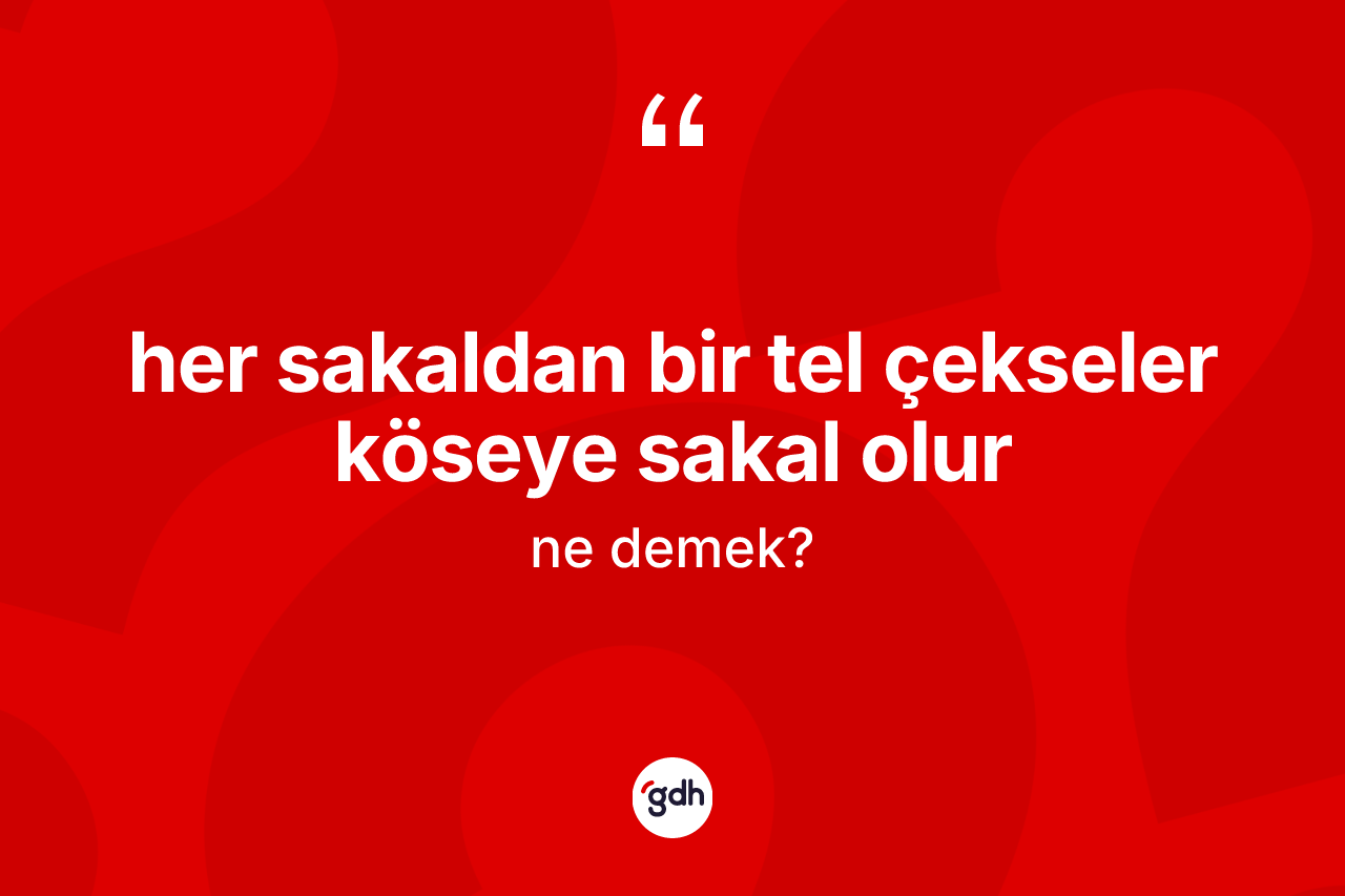 Her sakaldan bir tel çekseler köseye sakal olur ifadesinin kısaca anlamı nedir? Her sakaldan bir tel çekseler köseye sakal olur ifadesinin kaç farklı anlamı var?