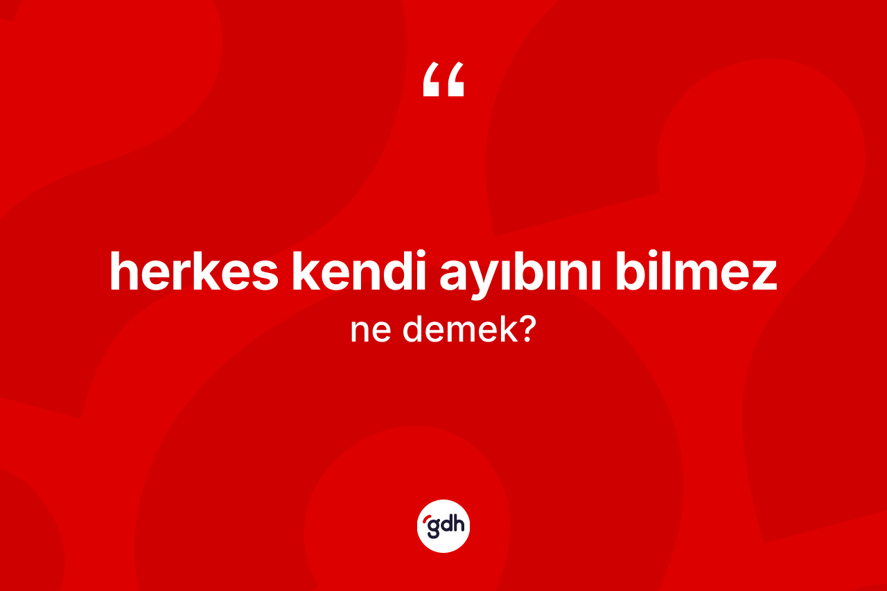 Herkes kendi ayıbını bilmez ifadesi neyi anlatır?