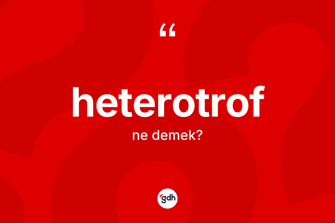 Heterotrof kelimesinin anlamı nedir? Heterotrofun TDK'ya göre anlamı nedir?