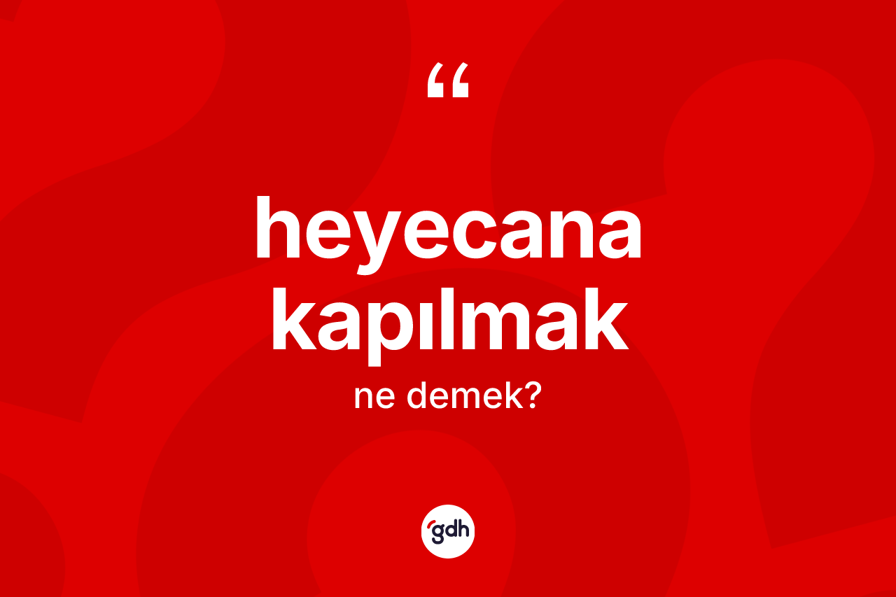Heyecana kapılmak ne demek? Heyecana kapılmak ifadesinin TDK'ya göre anlamı nedir?