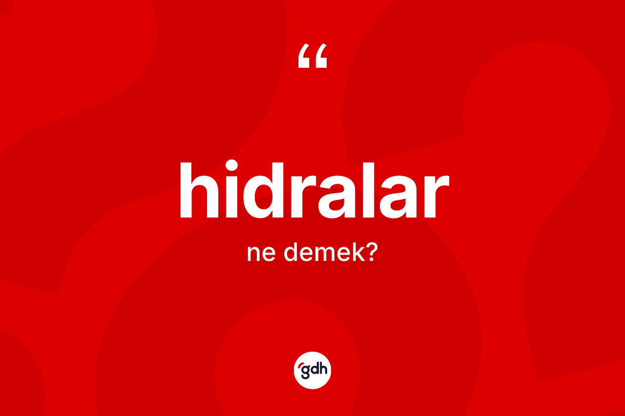 Hidralar kelimesinin sözlükteki tanımı nedir? Hidraların TDK'ya göre anlamı nedir?