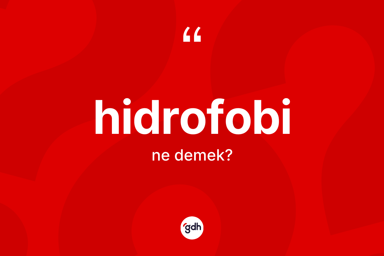 Hidrofobi kelimesi ne anlama gelir? Hidrofobinin TDK'ya göre anlamı nedir?