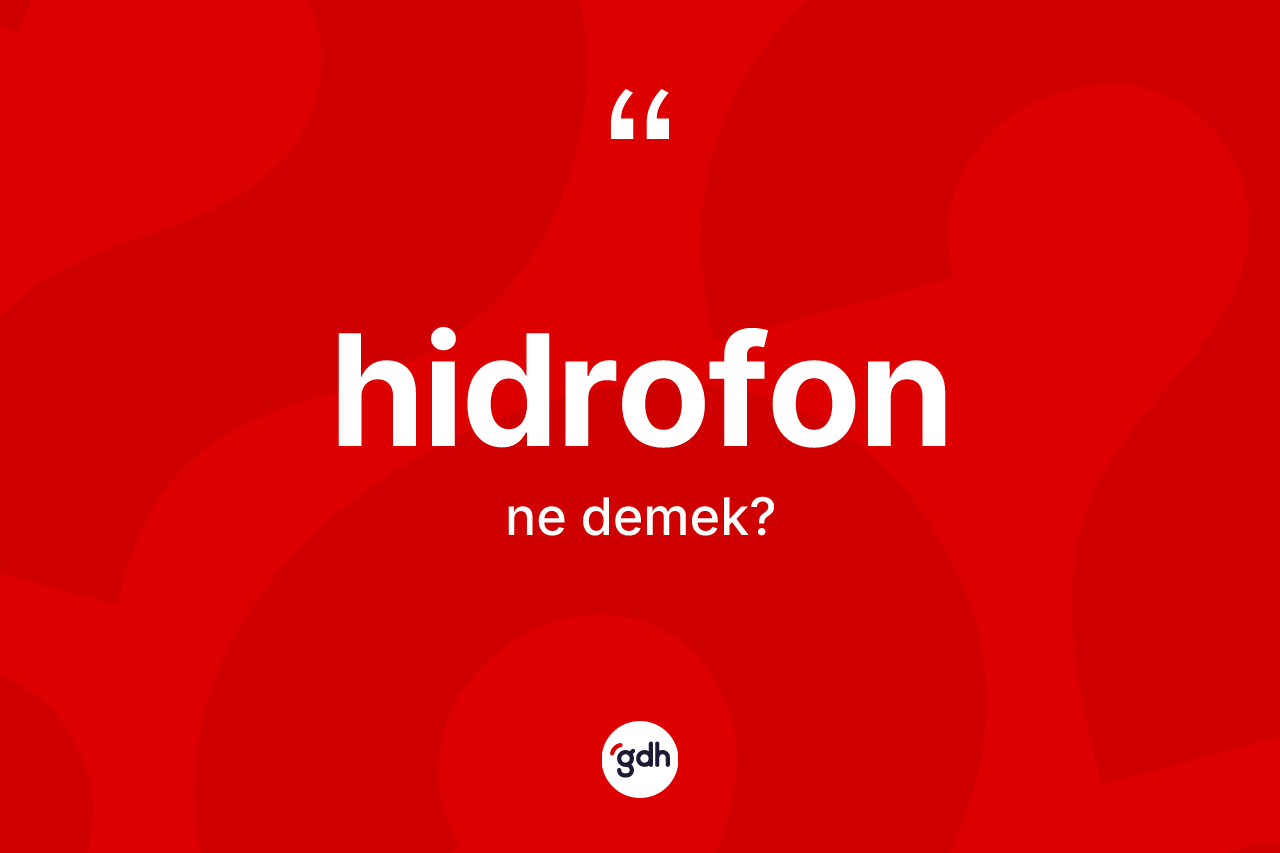Hidrofon ne demek? Hidrofon kelimesinin TDK'ya göre açıklaması nedir?