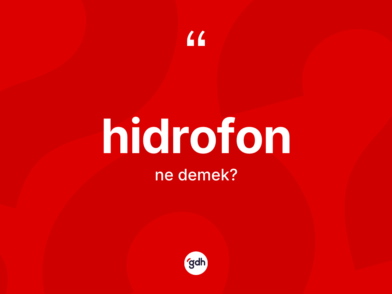 Hidrofon ne demek? Hidrofon kelimesinin TDK'ya göre açıklaması nedir?