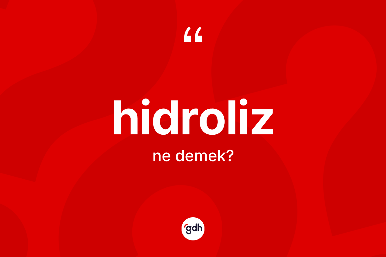 Hidroliz kelimesinin anlamı nedir?