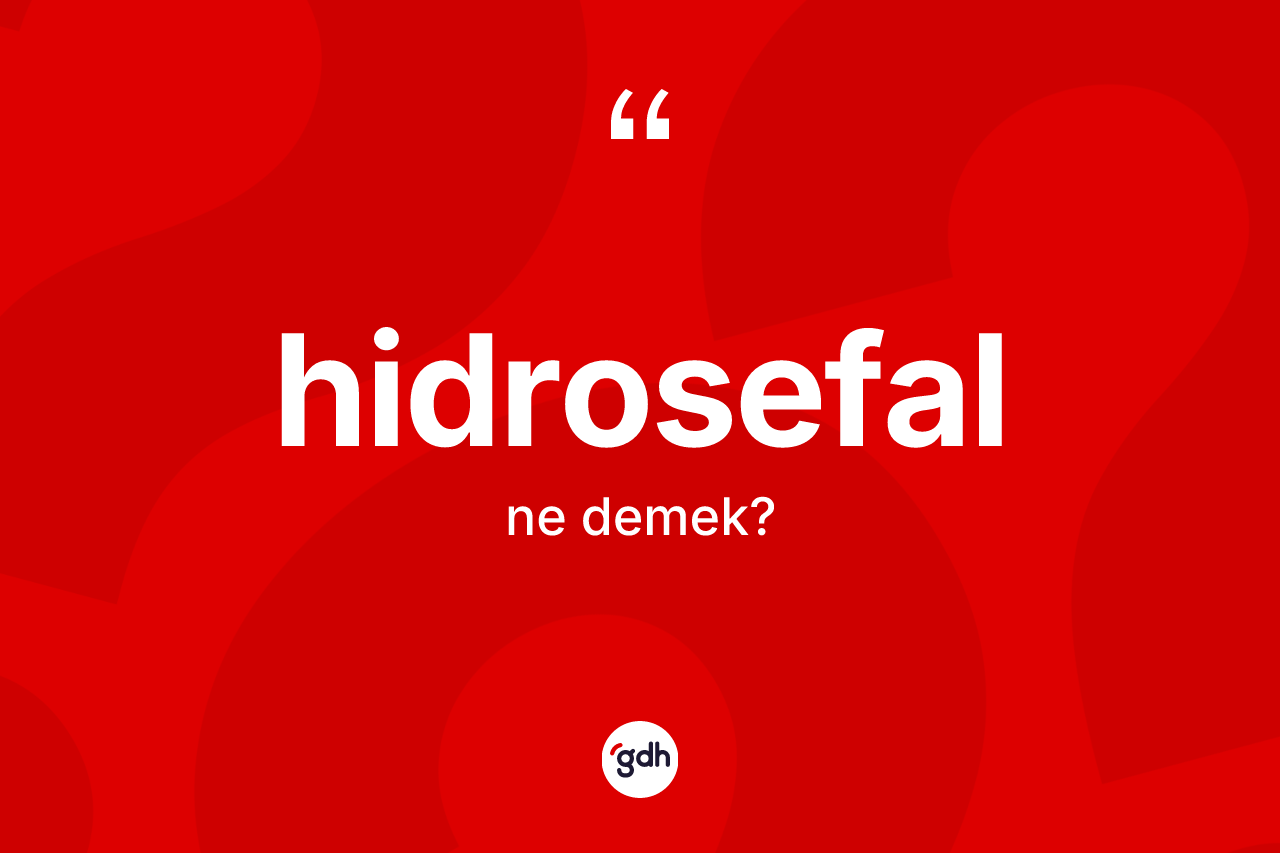 Hidrosefal kelimesinin anlamı nedir? Hidrosefalın sözlükteki anlamı nedir?