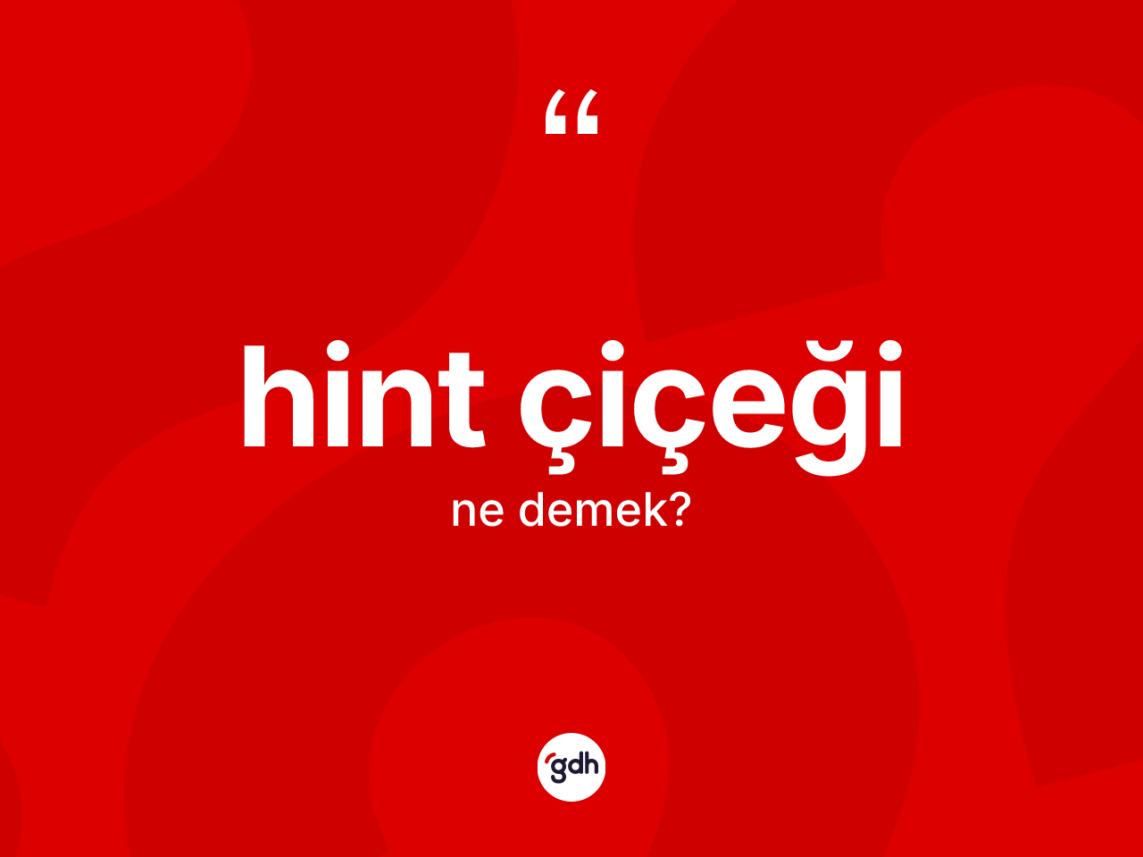 Hint çiçeği ne anlama gelir? Hint çiçeğinin TDK'ya göre anlamı nedir?