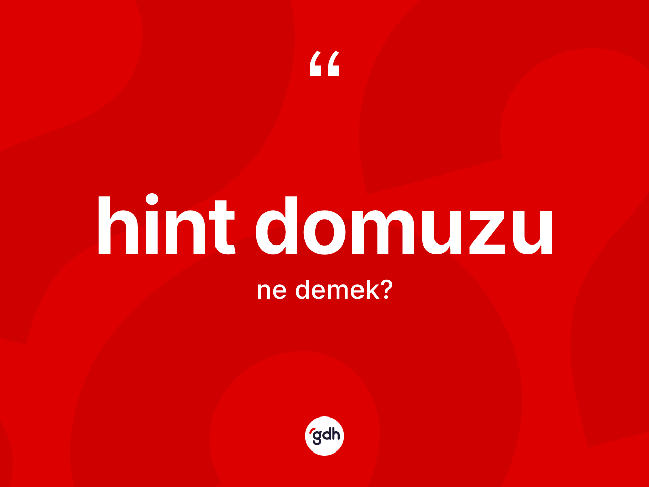Hint domuzu ne demek? Hint domuzu kelimesinin kaç farklı anlamı var?