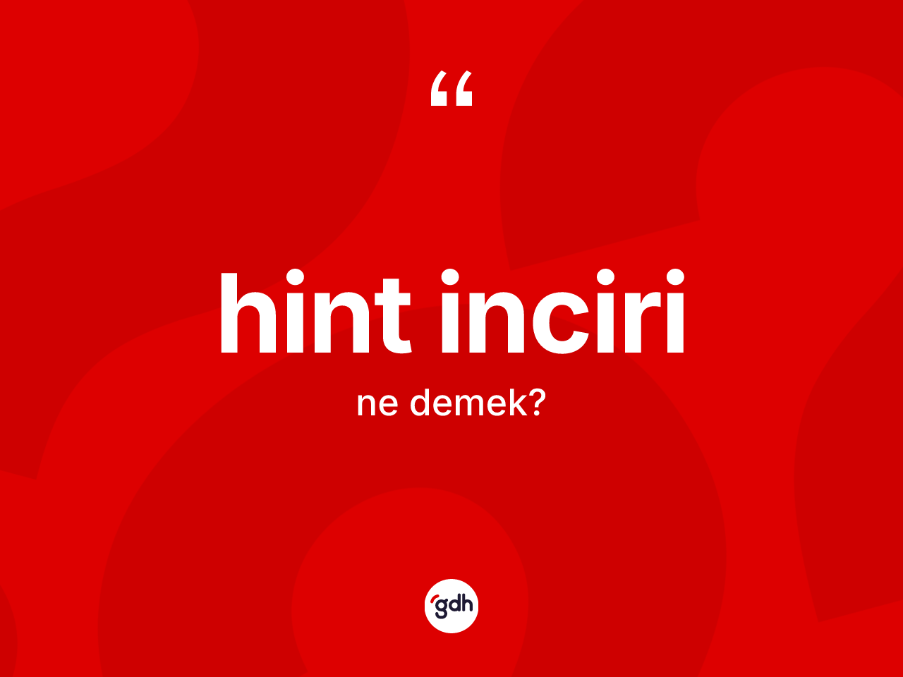 Hint inciri kelimesinin anlamı nedir? Hint inciri kelimesinin TDK'ya göre açıklaması nedir?