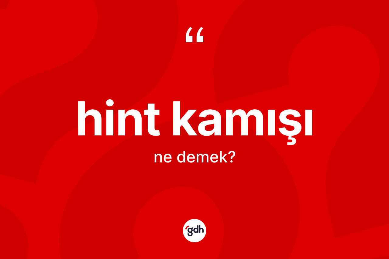Hint kamışı kelimesinin sözlükteki tanımı nedir? Hint kamışı kelimesinin TDK'ya göre açıklaması nedir?