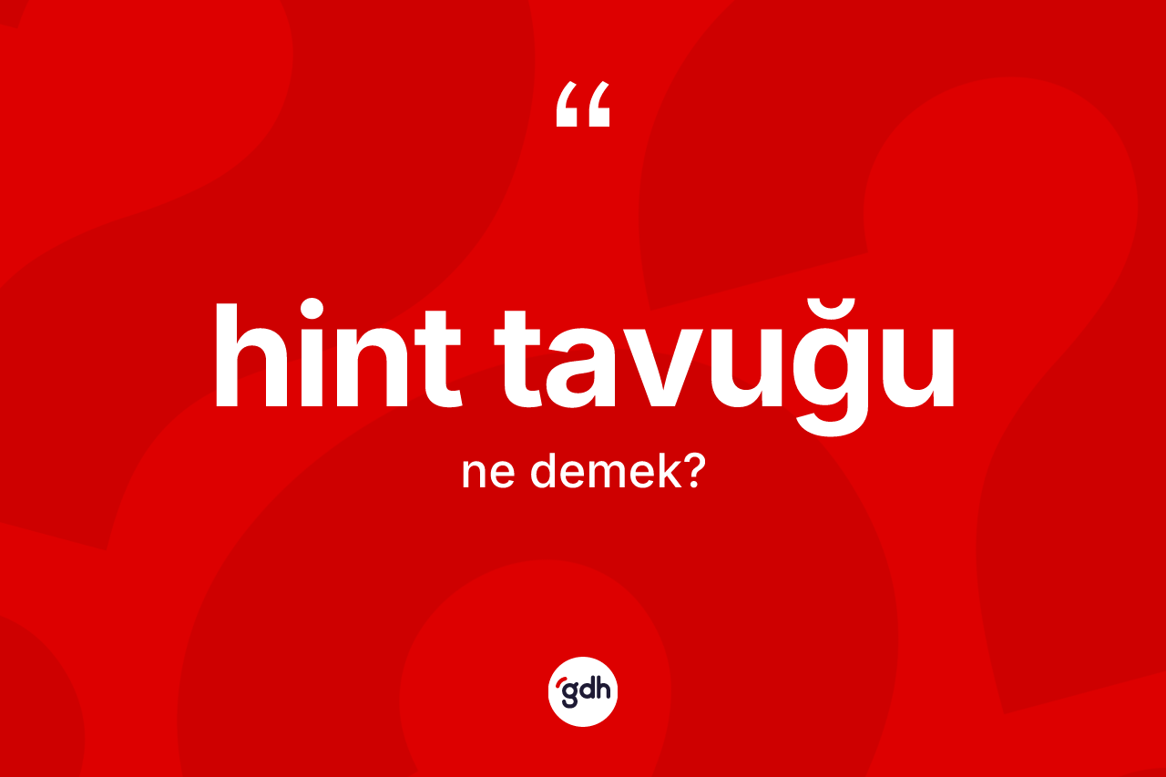 Hint tavuğu kelimesi nedir? Hint tavuğunun halk arasındaki kullanımı nasıldır?
