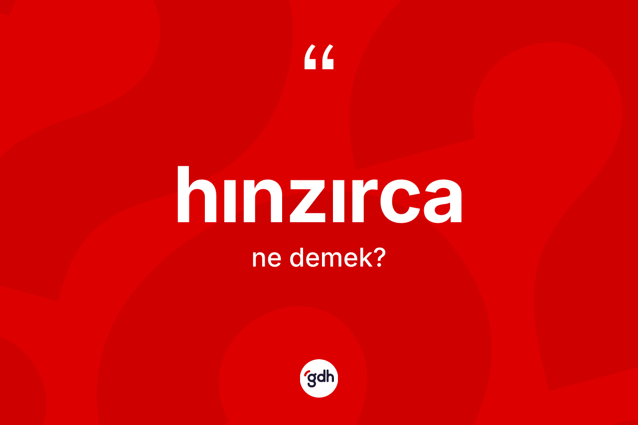 Hınzırca kelimesi ne anlama gelir?