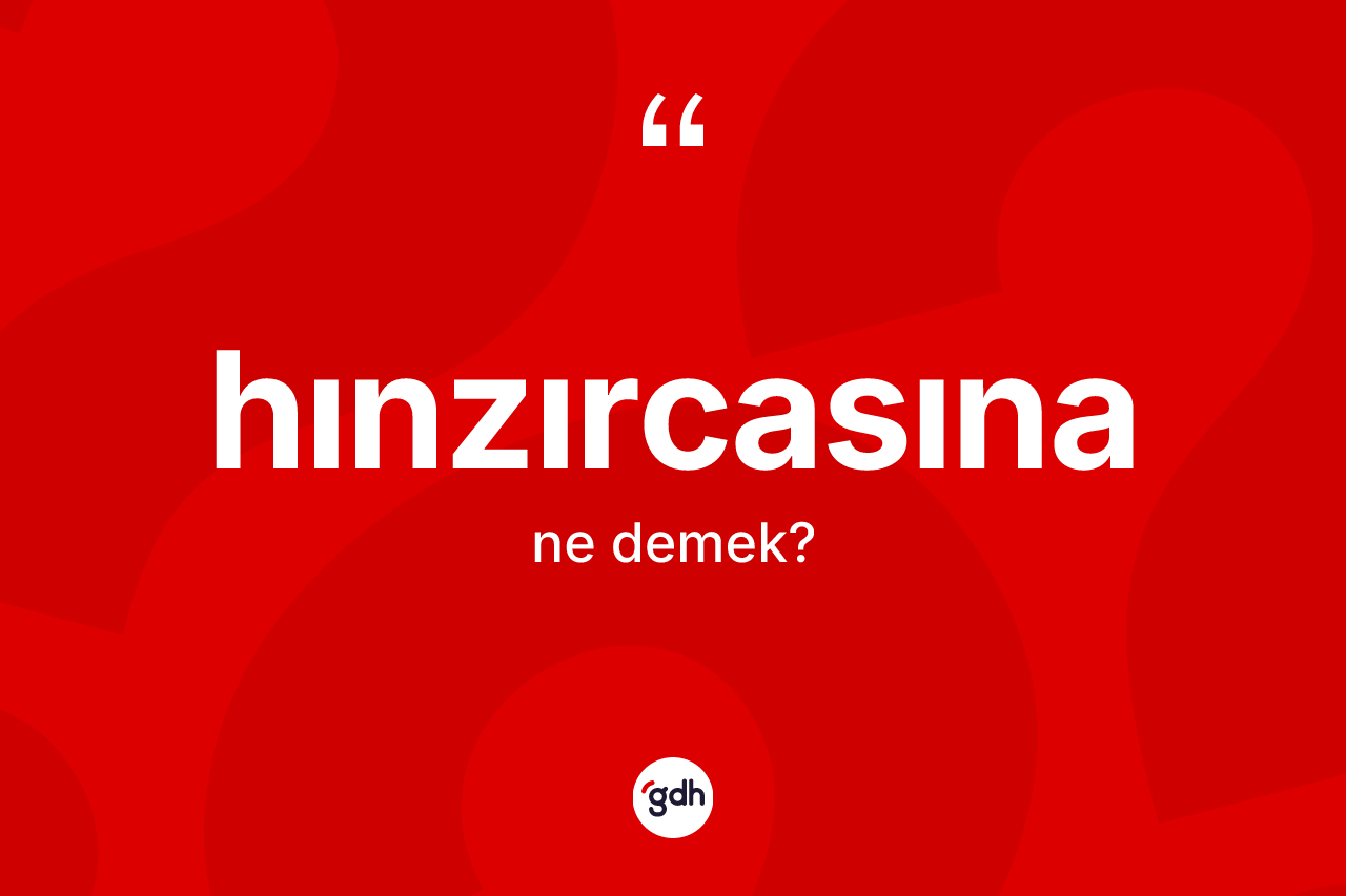 Hınzırcasına nedir?