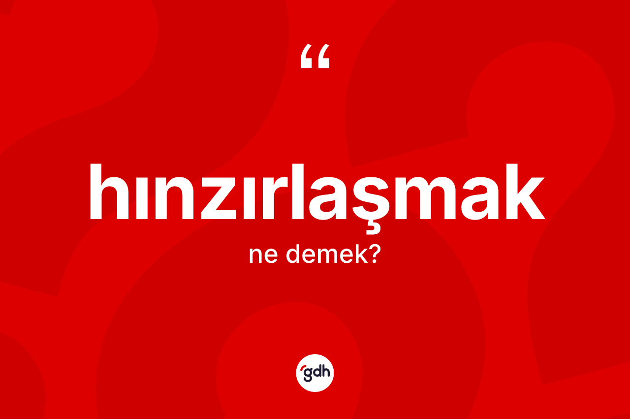Hınzırlaşmak kelimesi ne demek?