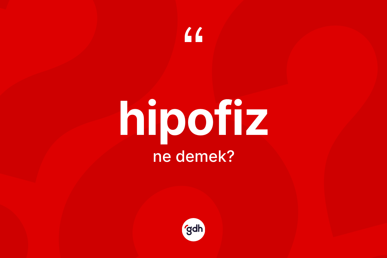 Hipofiz kelimesinin tanımı nedir?