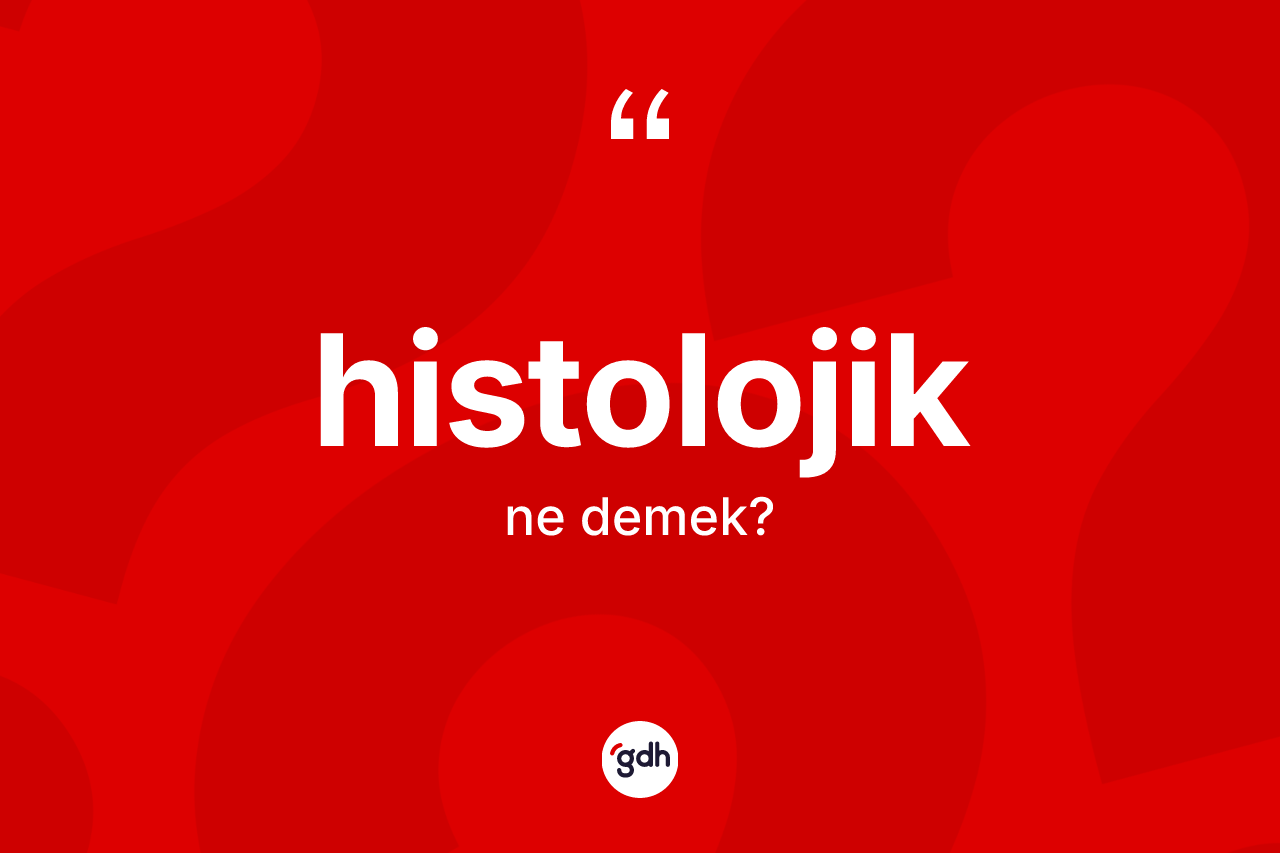 Histolojik kelimesi ne demek? Histolojiğin TDK'ya göre anlamı nedir?