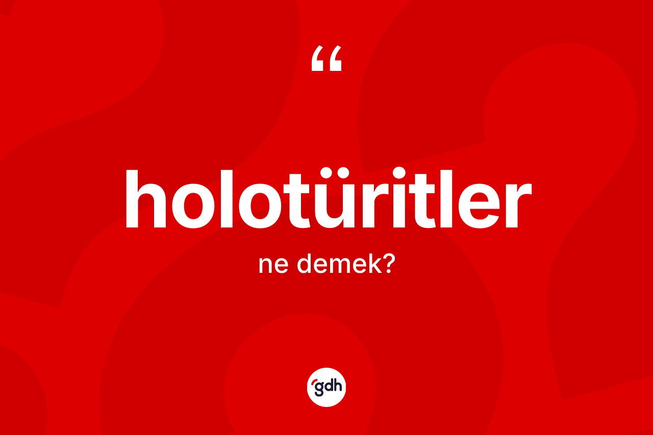 Holotüritler kelimesinin sözlükteki tanımı nedir? Holotüritlerin halk arasındaki kullanımı nasıldır?
