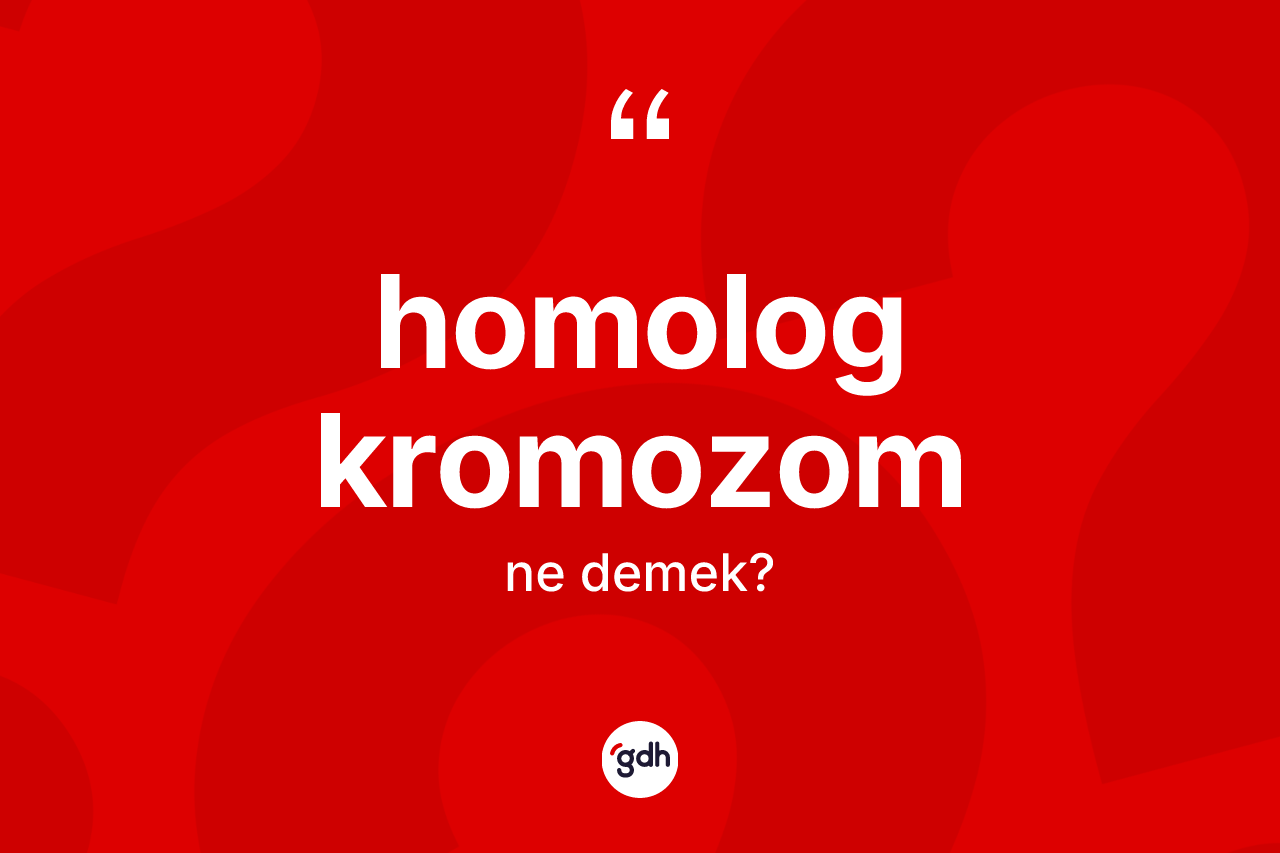 Homolog kromozom ne demek? Homolog kromozomun TDK'ya göre anlamı nedir?