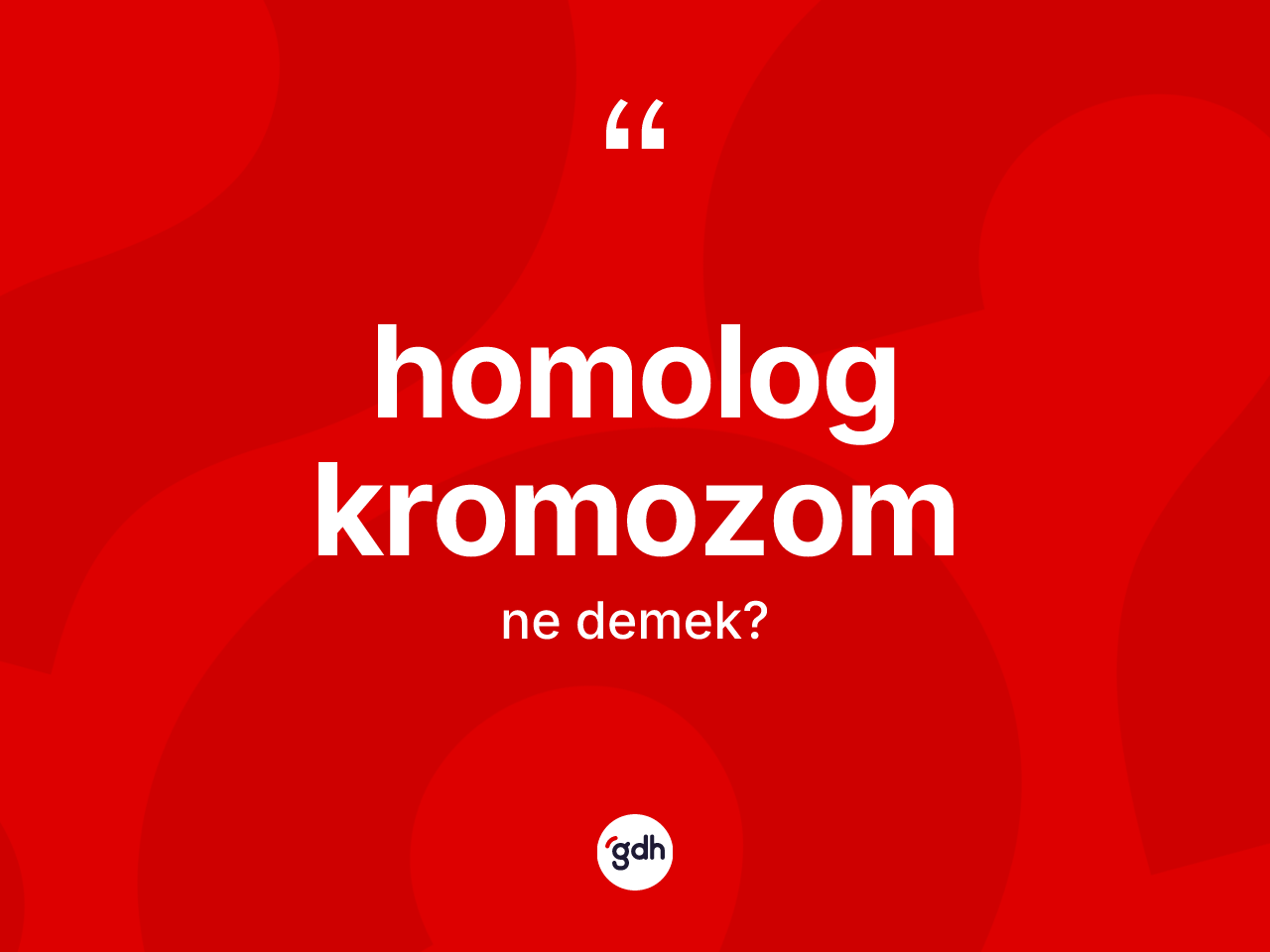 Homolog kromozom ne demek? Homolog kromozomun TDK'ya göre anlamı nedir?