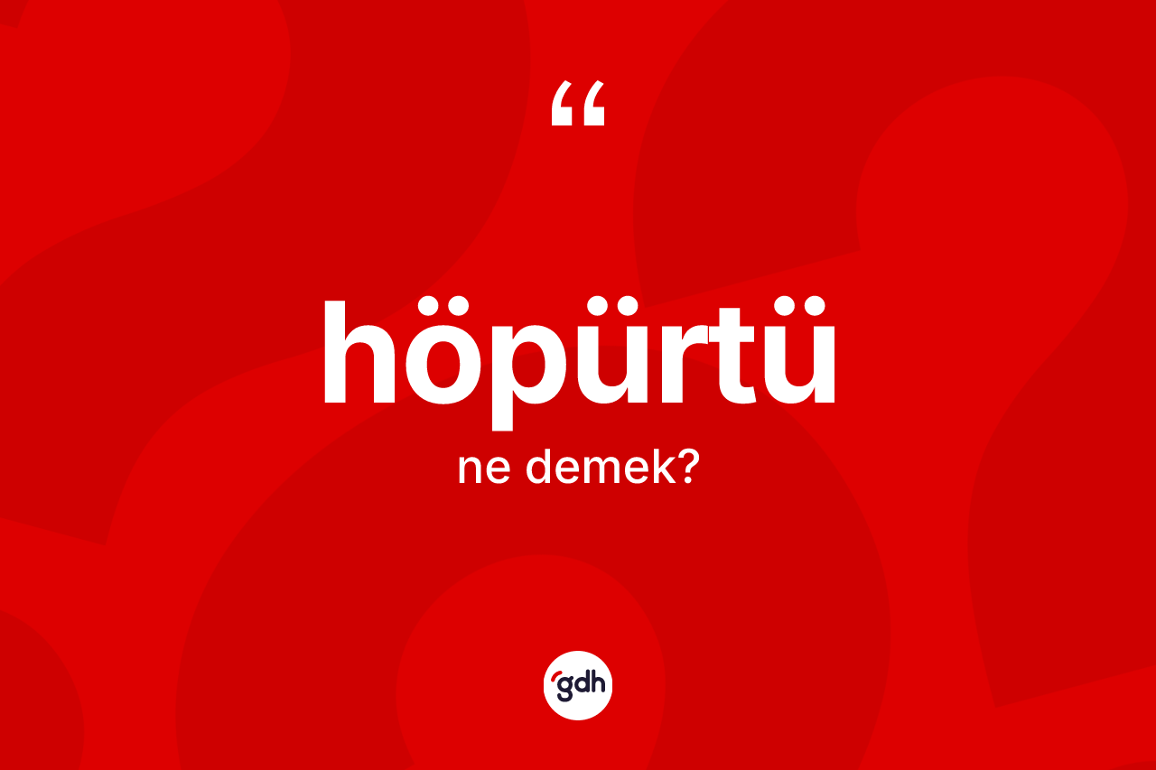 Höpürtü ne anlama gelir? Höpürtünün TDK'ya göre anlamı nedir?