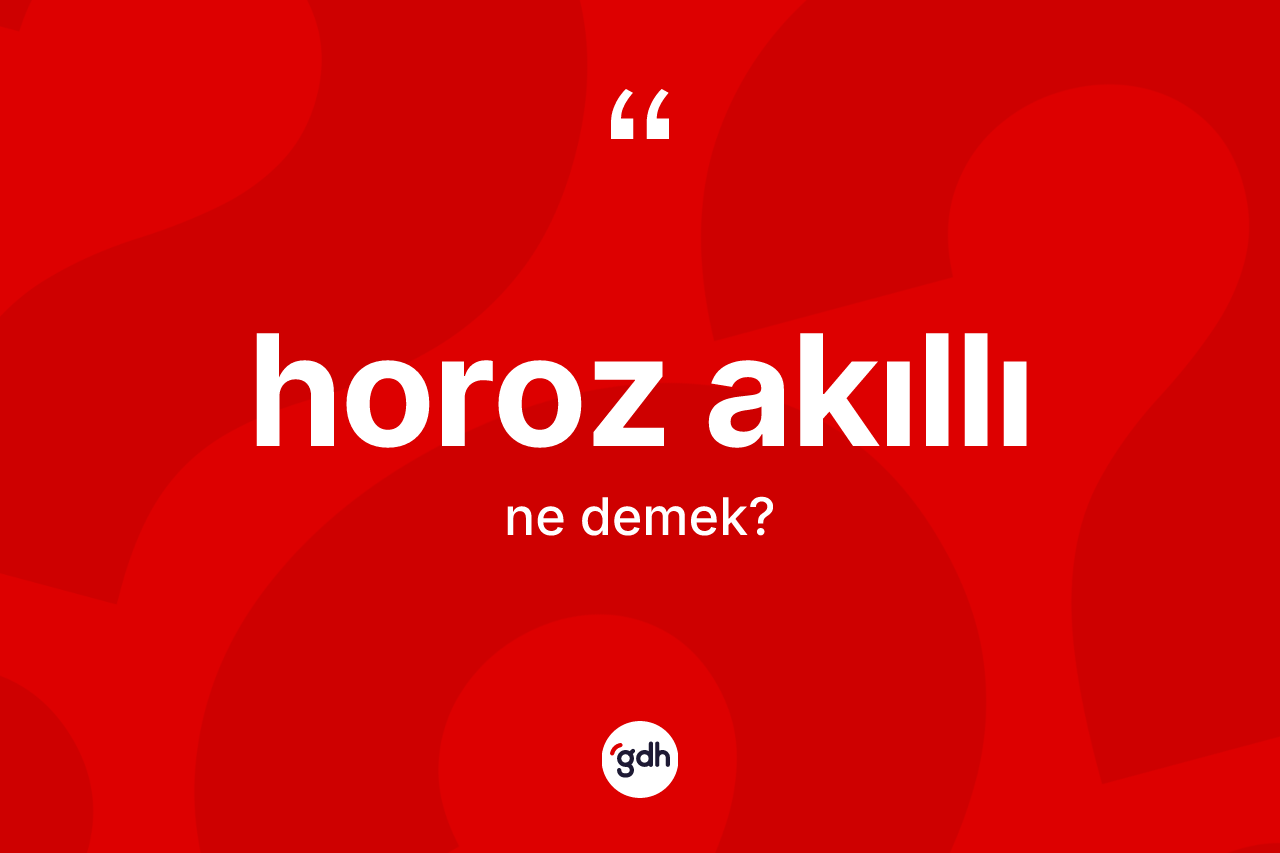 Horoz akıllı kelimesi nedir?